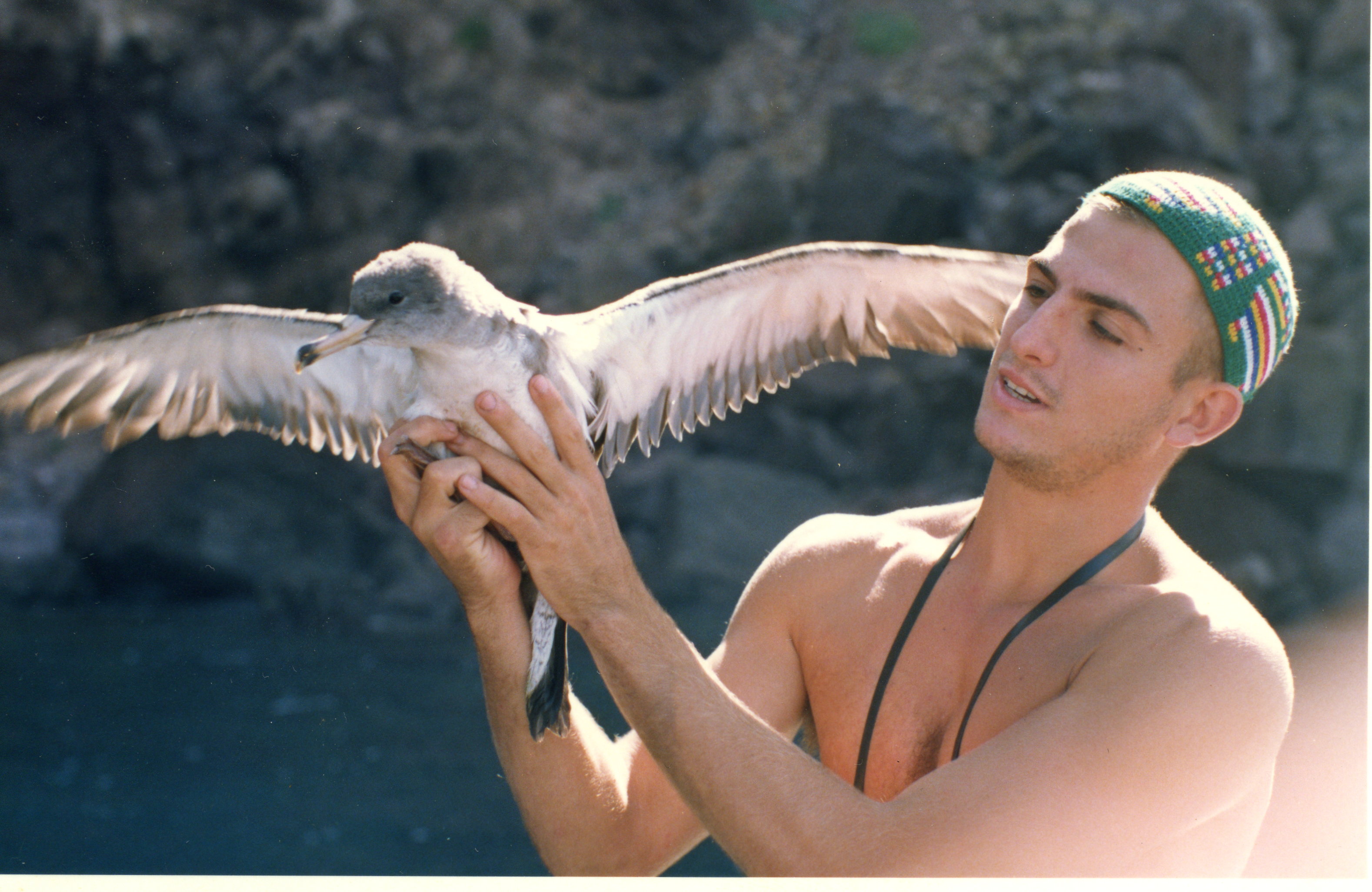 IMAGENES MIX 005.jpg